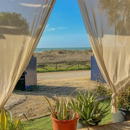 La A Orillas Del Palmar