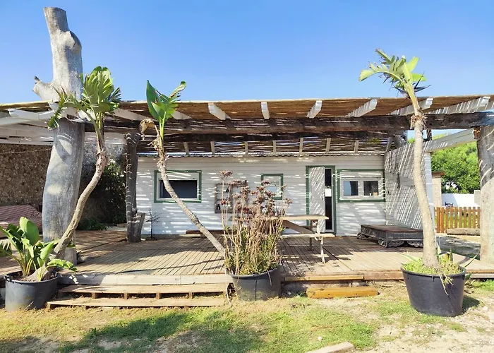 La A Orillas Del Palmar Cádiz