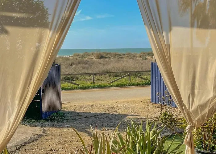 La A Orillas Del Palmar