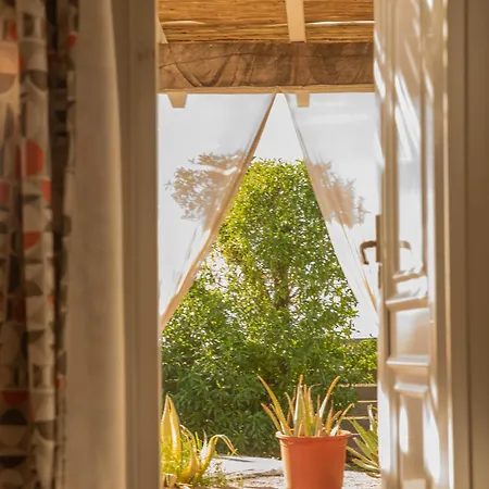 La A Orillas Del Palmar Cádiz